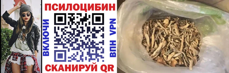 где купить наркоту  Короча  MEGA tor  Псилоцибиновые грибы Cubensis 